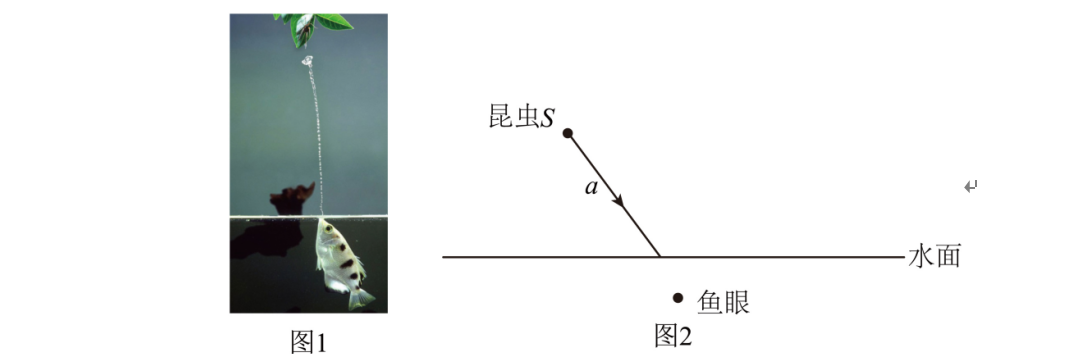题目配图